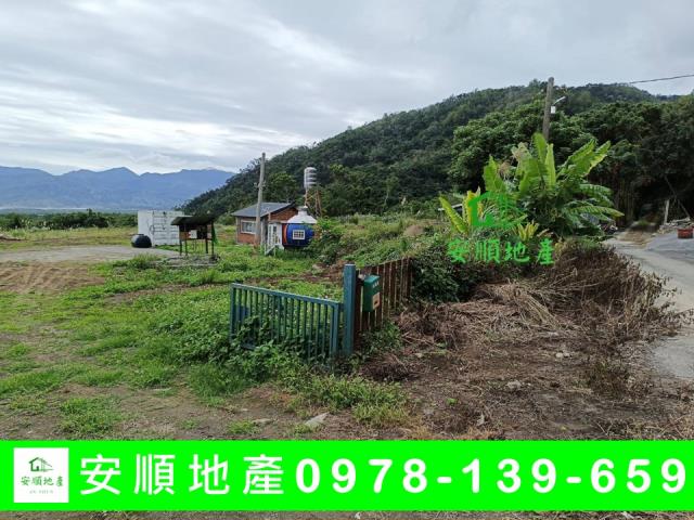 海端農地-3