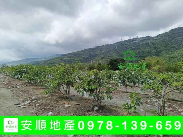 台東太麻里農地-0