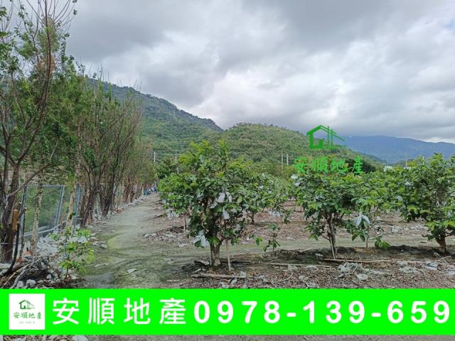 台東太麻里農地-3