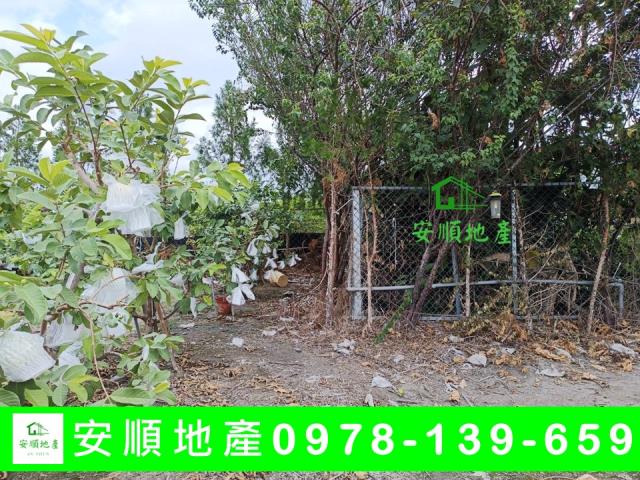 台東太麻里農地-4