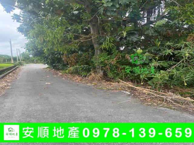 台東市建地-3